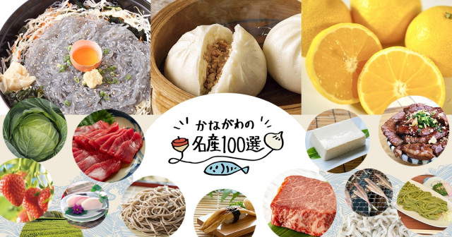 世界中から集まる上物「三崎のまぐろ」 |特集 |【公式】神奈川県のお出かけ・観光・旅行サイト「観光かながわNOW」